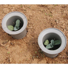 Load image into Gallery viewer, Tree & Plant Guard (Bulk 15-25% Off)