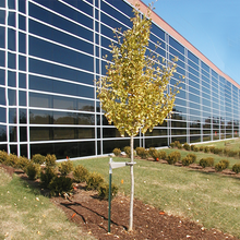 Load image into Gallery viewer, Tree-Mate-O Tree Support & Protection System