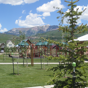 Multiple newly planted trees around a playground, all supported by a TMO-PRO tree support tool